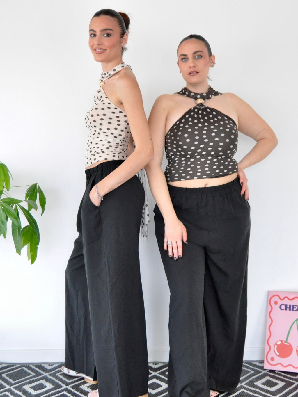 TOP POIS - Dolce Notte
